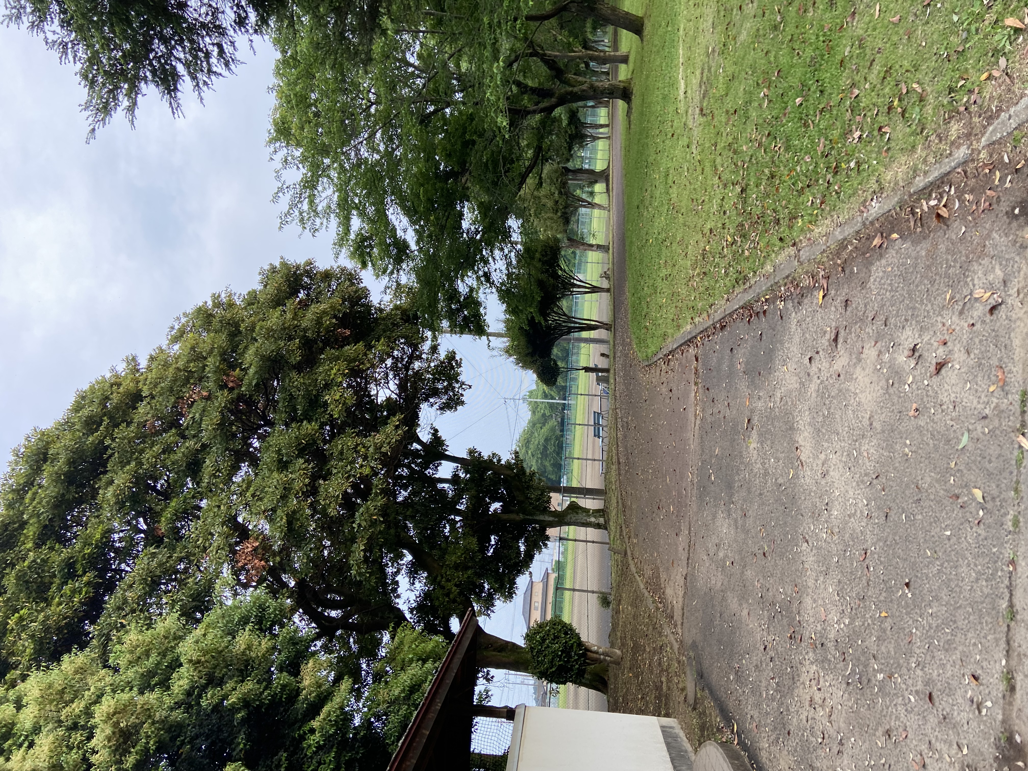 那珂湊運動公園第2球場