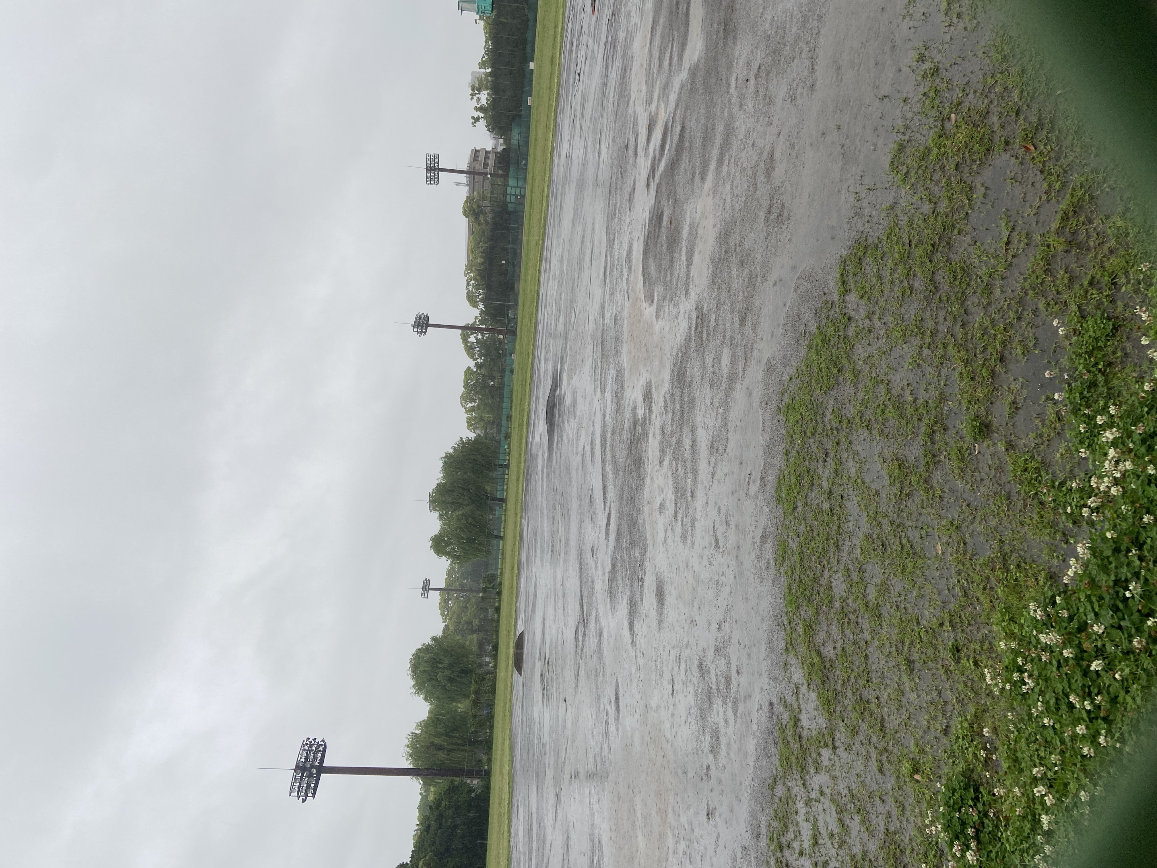 篠崎公園野球場